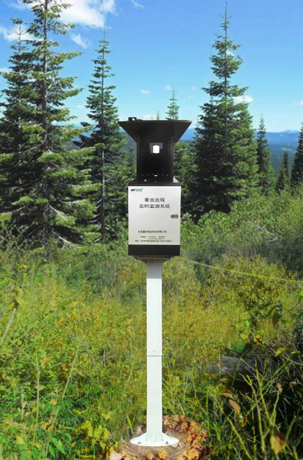 天牛監(jiān)測設備圖片1