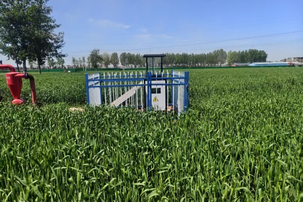 河北欒城蟲情測報燈項目現(xiàn)場圖片3