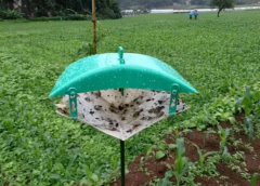 MC-YBQa小菜蛾誘捕器