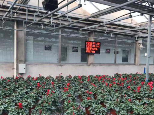 溫室環(huán)境調控設備圖片2