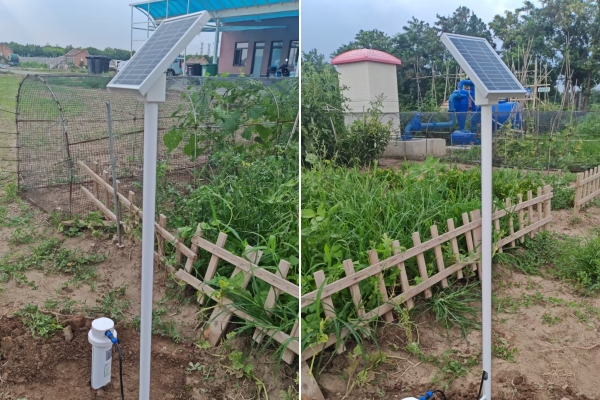 土壤水分監(jiān)測系統(tǒng)圖片2