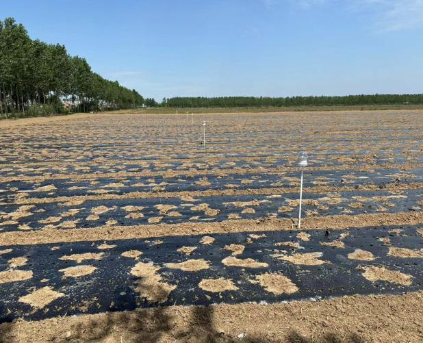 溫濕光壓傳感器圖片1